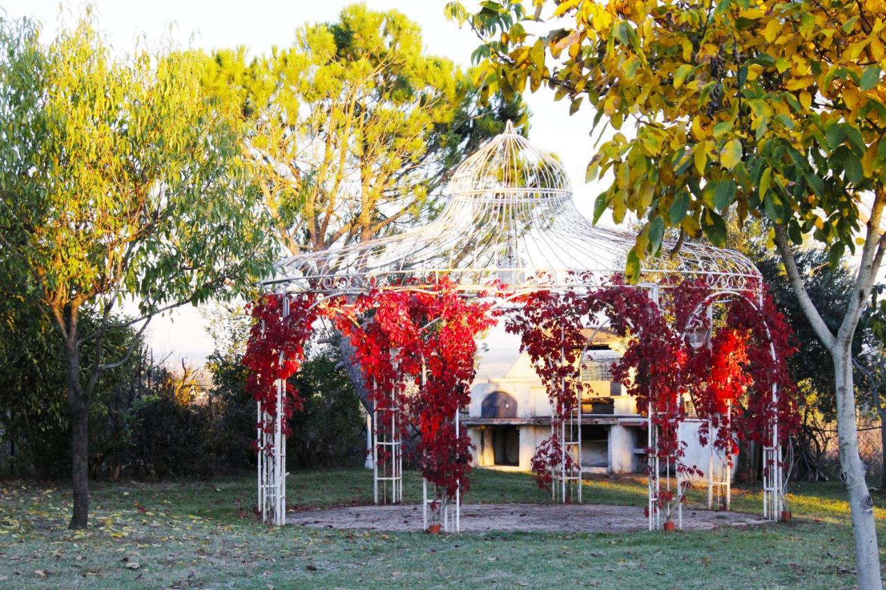 Appartamento Con Piscina E Giardino A Siena Dış mekan fotoğraf